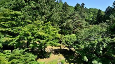 ガーデン ビュー / 16