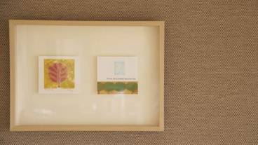 客室の設備とサービス / 28