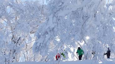 スノー スポーツとスキー / 3