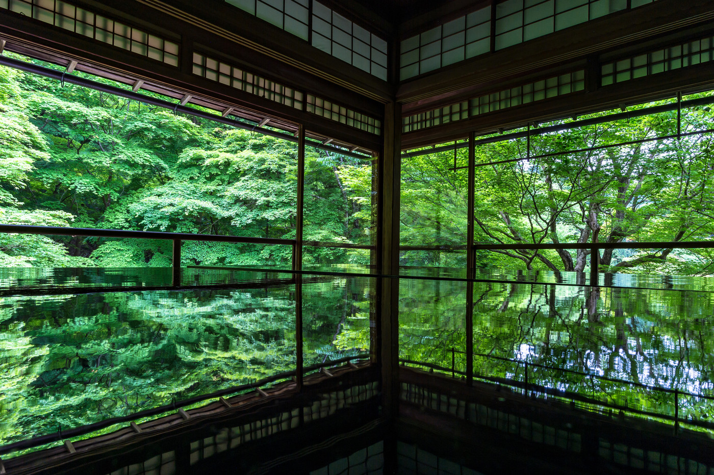 新緑の瑠璃光院
