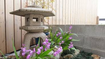 ガーデン ビュー / 10