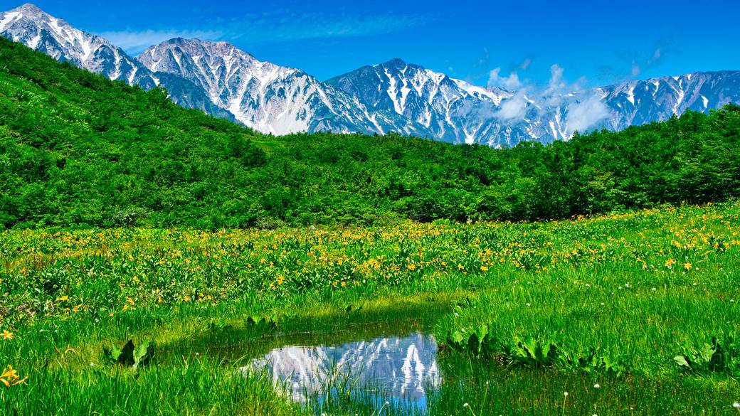 北アルプス白馬岳 / 1