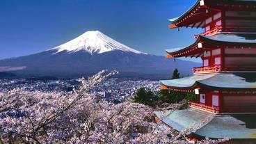 観光スポット / 7