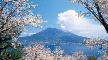 施設からの眺望 / 22