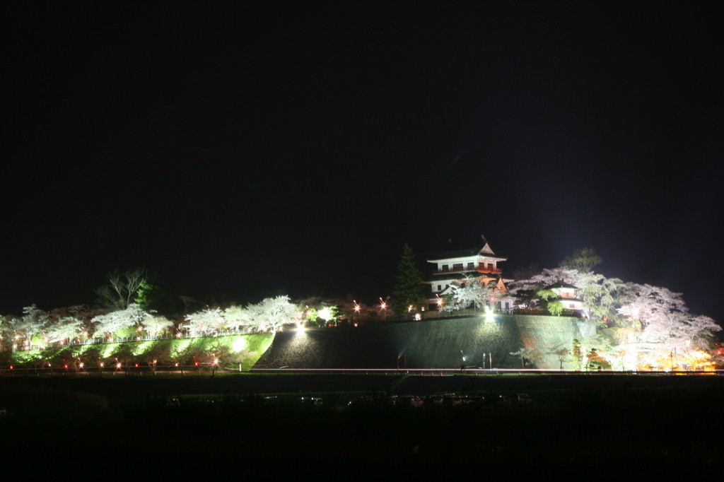 11.城山公園（涌谷城跡)1559362