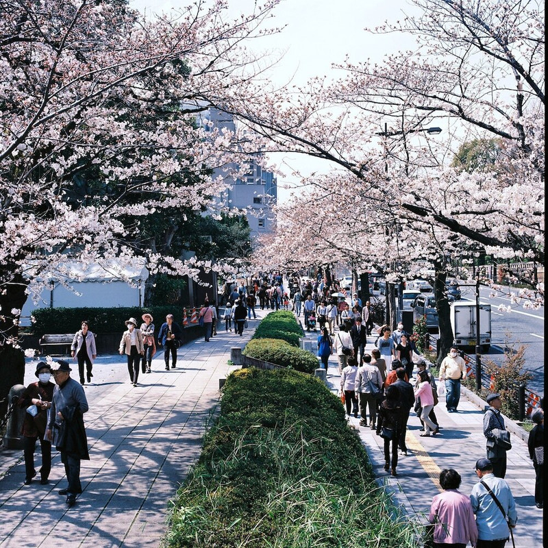 観光スポット