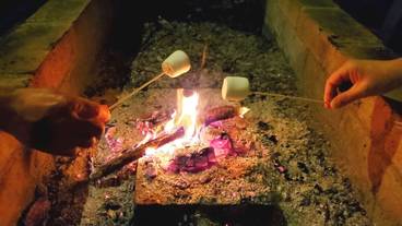 子供向けアクティビティ / 6