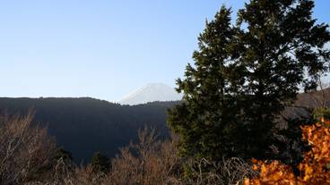 シティ ビュー / 31