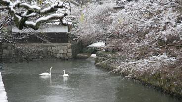 ランド ビュー / 18