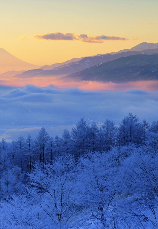 マウンテン ビュー