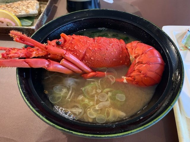 okapie.0218さんの写真 / 1