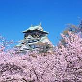 アインズ イン梅田東（大阪府 ビジネスホテル） / 3