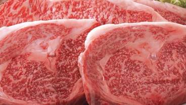 食事・飲み物 / 9