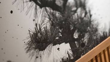 内装の詳細 / 20