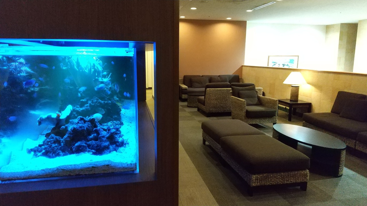 フロント階には水槽