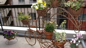 バルコニー / 21