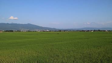 マウンテン ビュー / 8