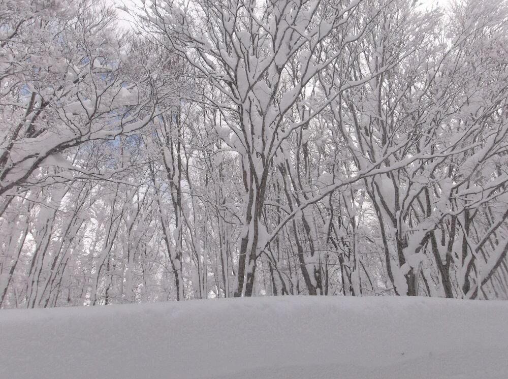 施設からの眺望