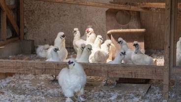 施設内の設備 / 4