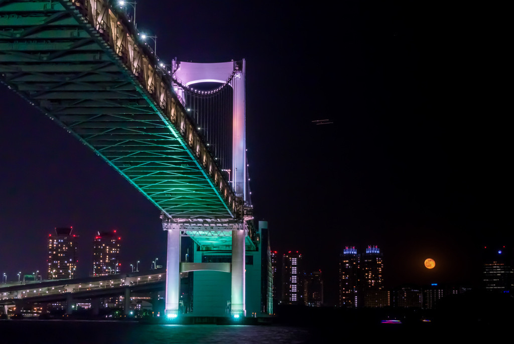 2.芝浦南ふ頭公園1444678
