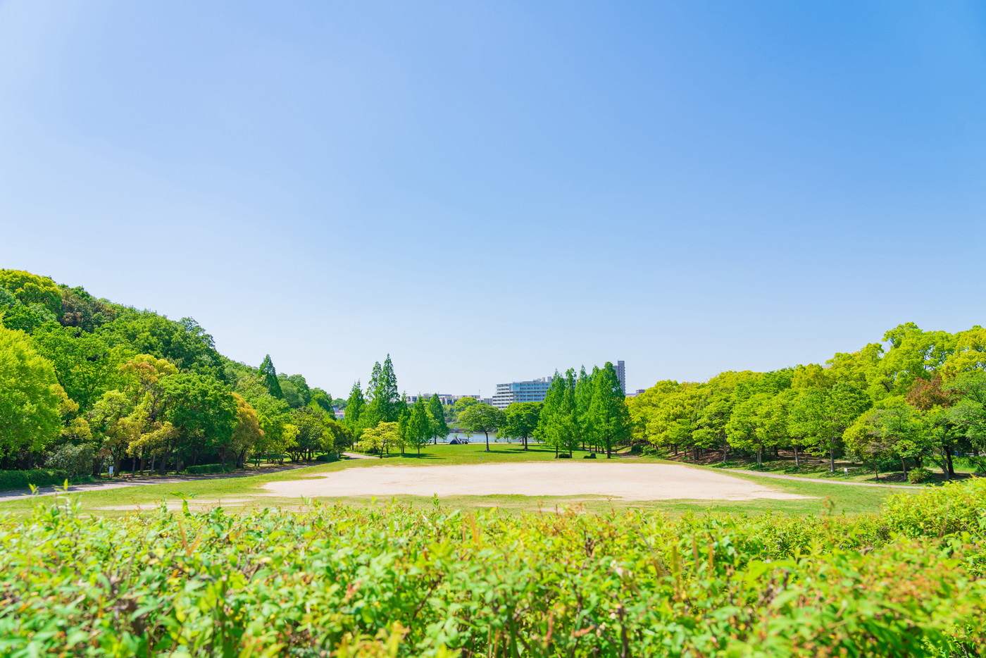 新緑の平和公園〈愛知県名古屋市〉