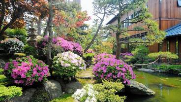 日本庭園 / 23