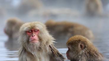 観光スポット / 11