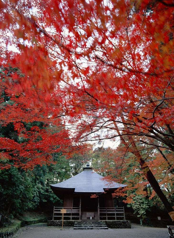 施設からの眺望