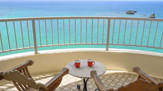 スーペリアルーム (グリーン) : 定員2名 禁煙