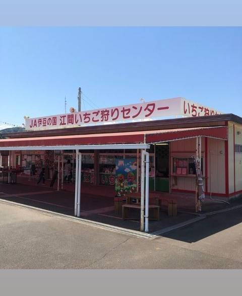 春のおでかけには
いちご狩り♪ / 2