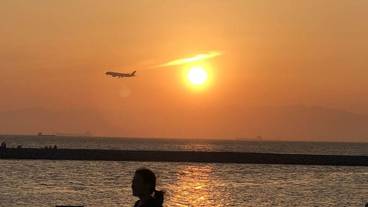 観光スポット / 15