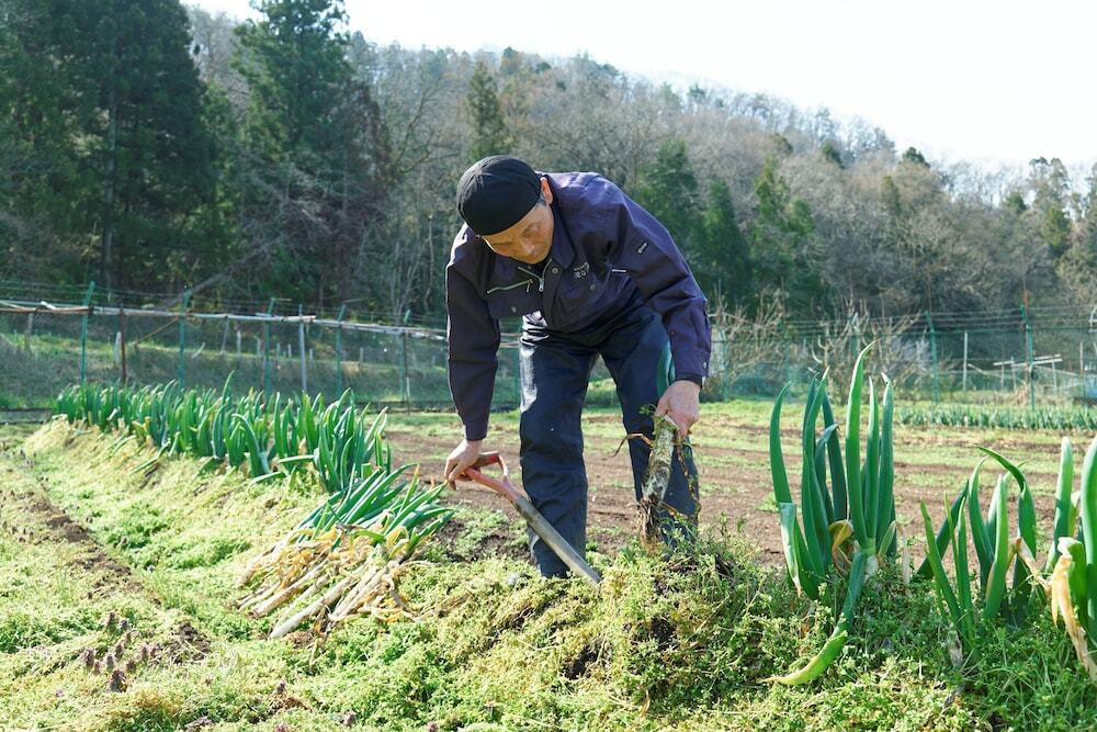 レストラン