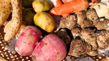 食事・飲み物 / 1