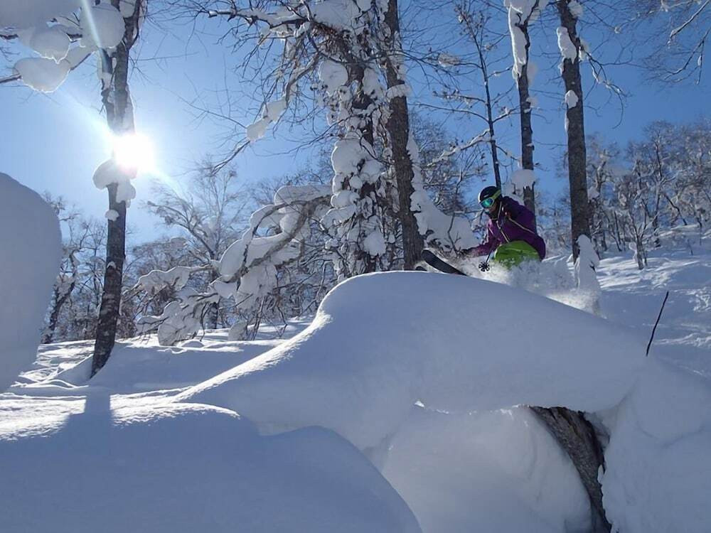 スノー スポーツとスキー