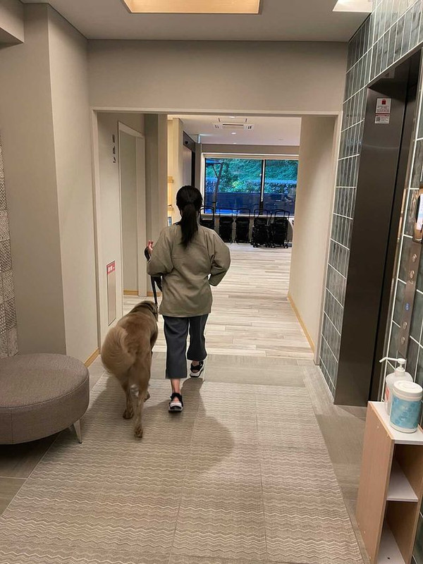 aoblue_._さんの写真 / 1