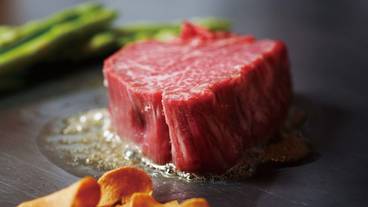 レストラン / 10