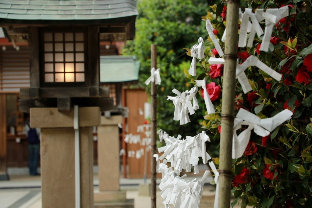 八重垣神社へのアクセス557023