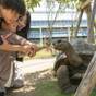 【神戸どうぶつ王国入園券付／朝食付】様々な動物に触れ合って、子供の笑顔が輝く思い出の1日に！ | ホテルプラザ神戸