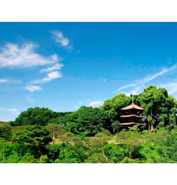  日本の“自然美”に触れるのに絶好の宿3485780