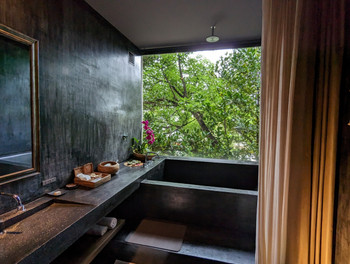 6.Birth the suite4248934