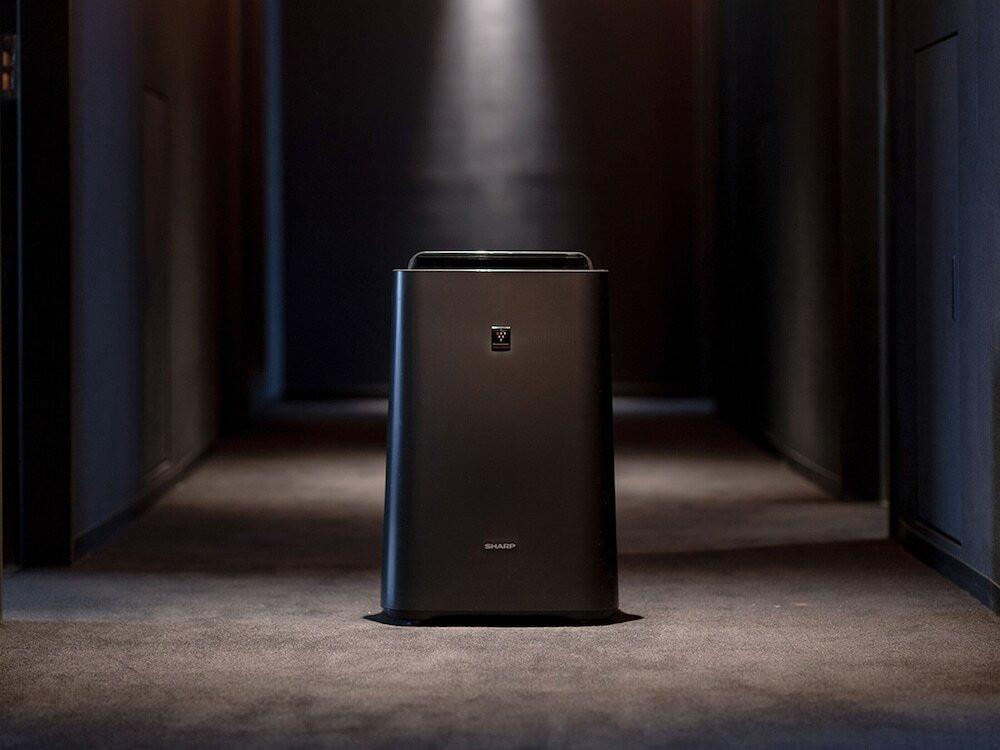 客室の設備とサービス