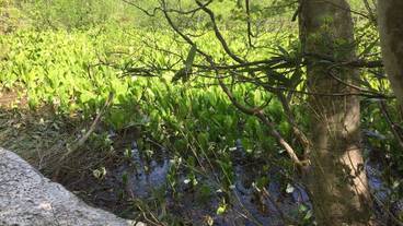 施設からの眺望 / 20