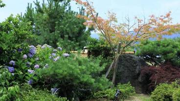 施設の敷地 / 20