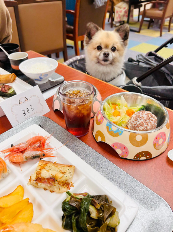 k_chirashi_さんの写真 / 1