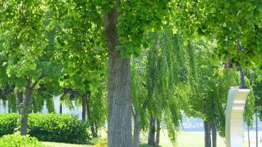 ハイキング / 22