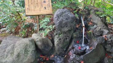 施設の敷地 / 28