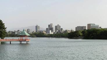 観光スポット / 25