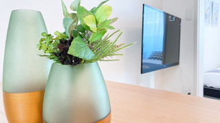 1ベッドルームアパートメント バルコニー付き 302号室