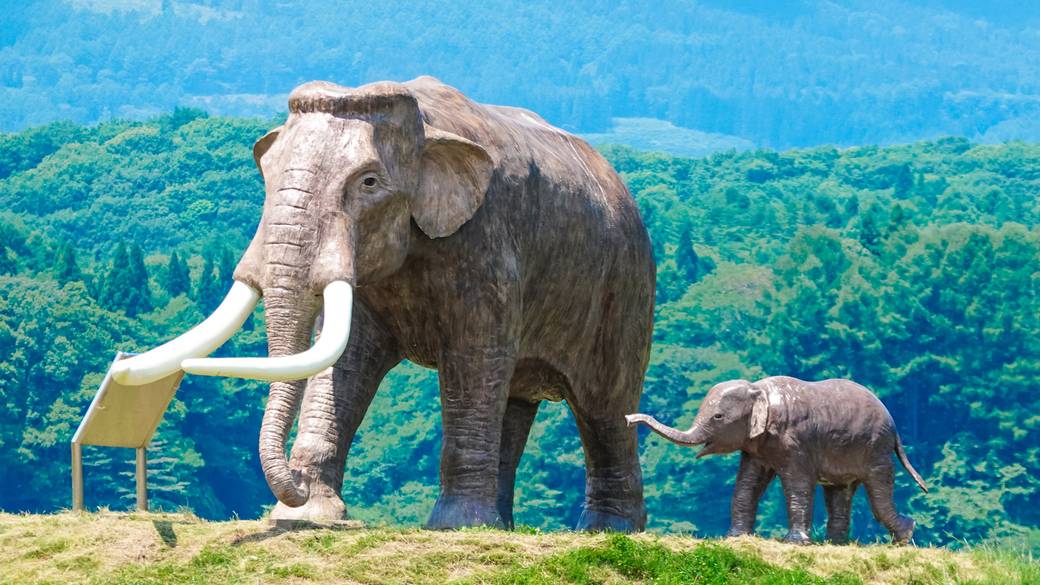 野尻湖のナウマンゾウの親子像 / 2