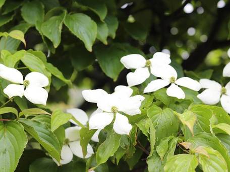 民芸旅館 深志荘 / 4